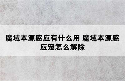 魔域本源感应有什么用 魔域本源感应宠怎么解除